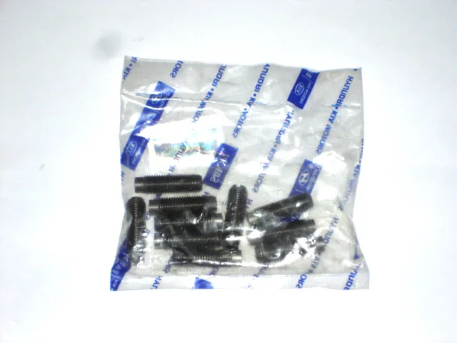 Hyundai H100 Minibüs (94-08) Subap Ayar Vidası