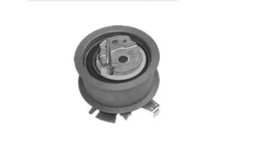 Audi A3 (97-03) Şarj Gergi Bilyası 1.9tdı