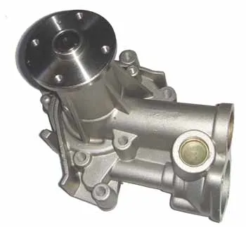 Hyundai H100 Minibüs (94-08) Devirdaim - Su Pompası