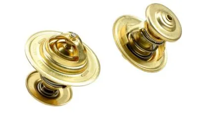 Volkswagen Golf 5 (04-09) Termostat